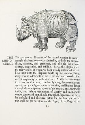 [Rhino page in "The Elizabethan Zoo"]
