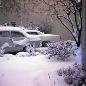Primary view of object titled '[Parked cars covered in snow]'.