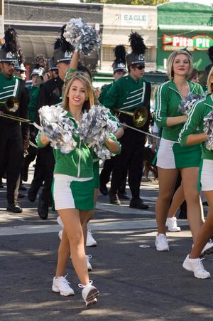 Primary view of object titled '[Dancer shaking poms in UNT Homecoming Parade, 2007]'.