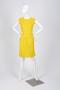 Physical Object: Yellow mini dress