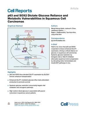 p63 and SOX2 Dictate Glucose Reliance and Metabolic Vulnerabilities in Squamous Cell Carcinomas