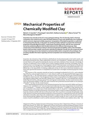 Primary view of object titled 'Mechanical Properties of Chemically Modified Clay'.