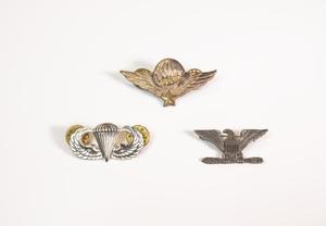 [Republic of Vietnam Jump Wings pins with palm (Master)]