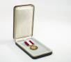 Thumbnail image of item number 1 in: '[Barsanti's Distinguished Service Medal]'.