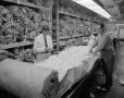 Photograph: [Two workers processing cotton]