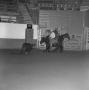 Photograph: [Hedgie Nellie competing at LSU, 2]