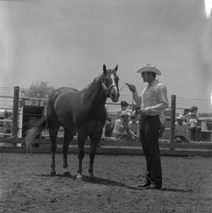 [A man with his horse]