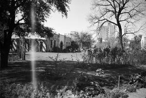 Primary view of object titled '[Photograph of an outdoor scene on the Alamo grounds]'.