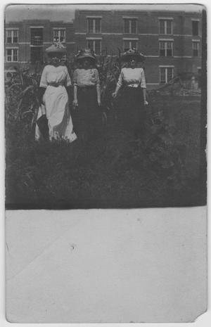 Primary view of object titled '[Three women standing outdoors]'.
