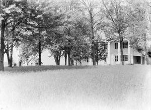 [Photograph of a house hidden behind trees]