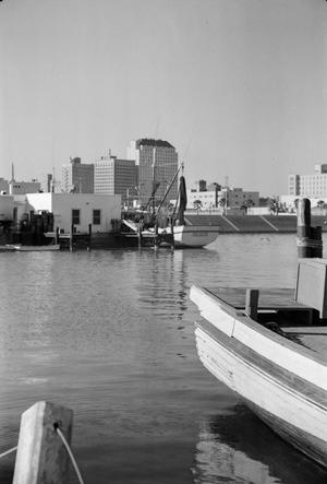 [A view of a harbor in Corpus Christi]