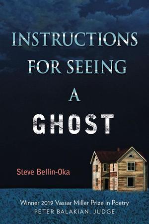 Primary view of object titled 'Instructions for Seeing a Ghost'.