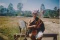 Thumbnail image of item number 1 in: 'Photograph of a Kom man playing traditional instrument'.