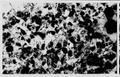 Primary view of [Appendix B: Petrographic Photomicrographs]
