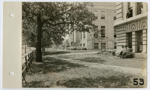 [Historical Building and Science Building at North Texas State Normal College]