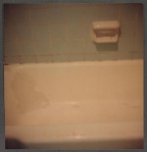 [Bathtub with colored tile, 2]