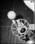 Photograph: [Basketball Player David Burns, Top View]