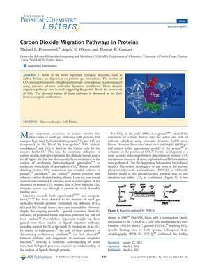 Carbon Dioxide Migration Pathways in Proteins