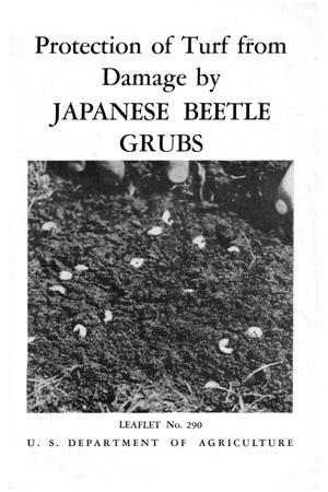 Protection of Turf From Damage by Japanese Beetle Grubs.