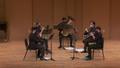 Video: Ensemble: 2020-11-15 – Chamber Music Studies VII