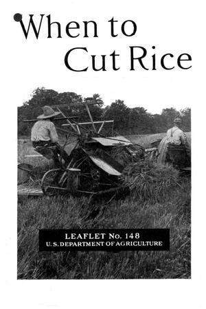 When to Cut Rice.