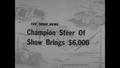 Video: [News Clip: Champion Steer at Show Brings $6,000]
