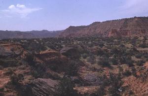 Primary view of object titled '[A view at the Palo Duro Canyon]'.