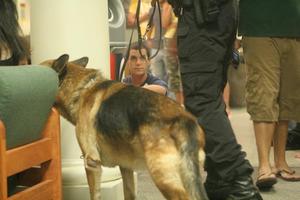 [Photograph of Ben the police dog at Traditions Hall]
