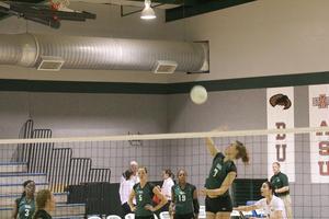 [Women's Volleyball player spikes ball over the net, 2]