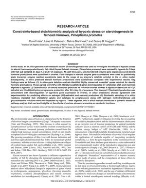 Constraints-based stoichiometric analysis of hypoxic stress on steroidogenesis in fathead minnows, Pimephales promelas