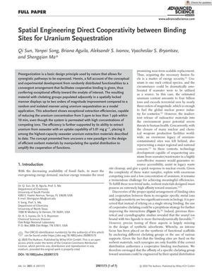 Spatial Engineering Direct Cooperativity between Binding Sites for Uranium Sequestration