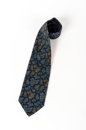Paisley necktie