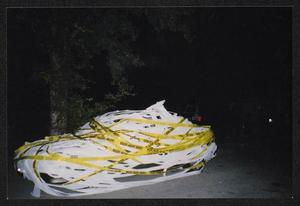 [Janie Bush's car wrapped in toilet paper, 2: Lone Star Ride 2002 event photo]