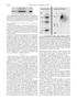 Thumbnail image of item number 3 in: 'Phosphorylation of Myosin Light Chain Kinase by p21-activated Kinase PAK2'.
