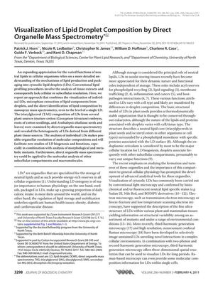 Visualization of Lipid Droplet Composition by Direct Organelle Mass Spectrometry