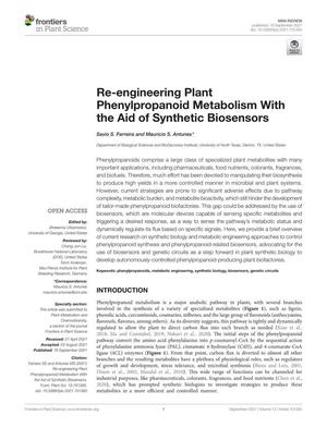 Re-engineering Plant Phenylpropanoid Metabolism With the Aid of Synthetic Biosensors