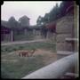 Thumbnail image of item number 1 in: '[Parque de las Leyendas, a Zoo in Lima, Peru]'.