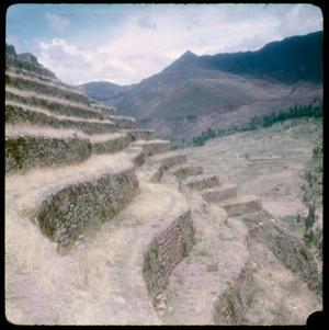 [Agricultural Terraces in Pisac, Peru]