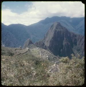 [View of Machu Picchu, 1]