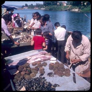 [A seafood market in Valdivia]