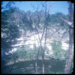 [The Cenote Xtoloc, in Chichen Itza]