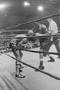 Photograph: [Photograph of a boxing match #5]