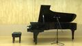 Primary view of Doctoral Recital: 2021-08-03 — Dongmin Chen, piano