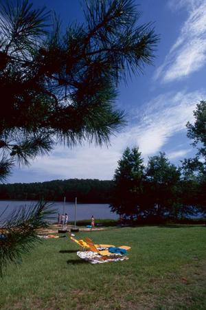 [Two outdoor lounge chairs near Daingerfield State Park lake, 3]