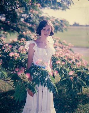 [Portrait of a Woman with a Blooming Tree]
