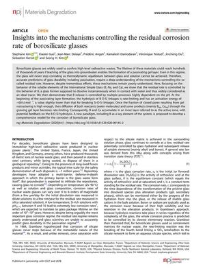 Insights into the mechanisms controlling the residual corrosion rate of borosilicate glasses