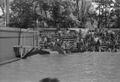 Thumbnail image of item number 1 in: '[Dolphin show at Six Flags Over Texas in Arlington, 8]'.