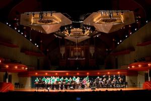 Primary view of object titled '[Percussion musicians wearing green performing alongside brass musicians wearing black]'.