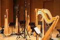 Photograph: [Harps in Voertman Hall, 4]