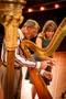 Photograph: [Dr. Jaymee Haefner and David Williams plucking a harp's strings]